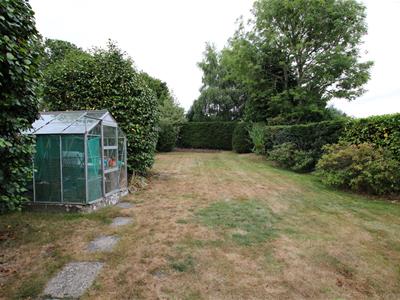 Picture 7